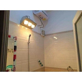Mua ĐÈN SƯỞI NHÀ TẮM 2 BÓNG-3 BÓNG