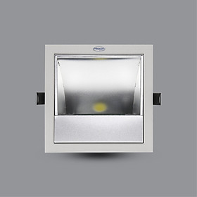 ĐÈN LED DOWNLIGHT CHIẾU TRANH 20W ÂM TRẦN PRDXX176L20