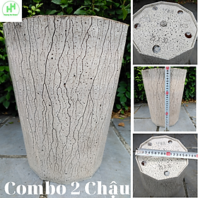 2 Chậu Nhựa Kim Cương Vân Gỗ K3 VM 25x30