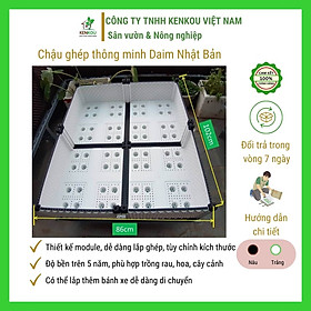 Chậu ghép thông minh L102 x W86cm Hàng Chính Hãng DAIM Nhật Bản Chậu ghép trồng rau, hoa, cây cảnh tại nhà