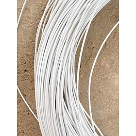 Mua 10 Mét dây thép bọc nhựa không rỉ loại 2 5 li