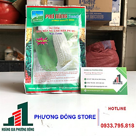 Combo 5-10 gói hạt giống Bắp Nếp Nù sinh trưởng nhanh, kháng bệnh tốt