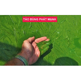 Đèn UV 20W AQUA SUV+ Diệt Khuẩn, Rêu Tảo Hồ Cá Koi , Xử Lý Nước Thải, Nước Sinh Hoạt Trong 7 Ngày - 30W, 48cm, tự chìm