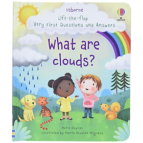 Lift-the-flap Very First Questions And Answers: What Are Clouds?