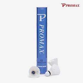 Hộp Cầu Lông Tiêu Chuẩn Pr-640 (12 Quả/Ống)