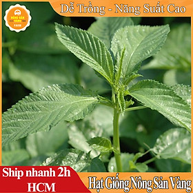 Mua Hạt Giống Rau Đay Xanh  Nhiều Dinh Dưỡng  Ít Sâu Bệnh  Nảy Mầm Cao (Gói 10gr) - Nông Sản Vàng