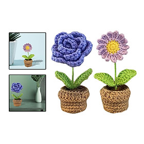 2pcs Handmade DIY Crochet  Potted Flower Craft Starter Pack Kids Adults
