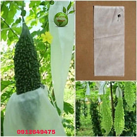 Mua 100 Túi Bọc Khổ Qua   Dưa Leo  (15x30cm)
