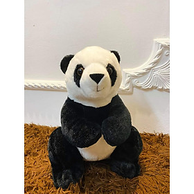Gấu Trúc Panda Nhật Amuse