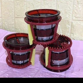 Mua Lưới ép máy ép chậm SAVTM