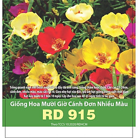 Hạt giống Hoa Mười Giờ Cánh Đơn Nhiều Màu RD 915, Hoa Nở Liên Tục Mỗi Ngày - RẠNG ĐÔNG, HẠT GIỐNG TỐT