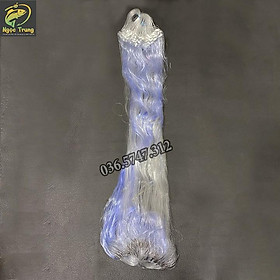 Lưới Bắt Cá,Đánh Cá Mác Thuyền Buồm Chiều Cao 1m2 Dài 100m 6cm