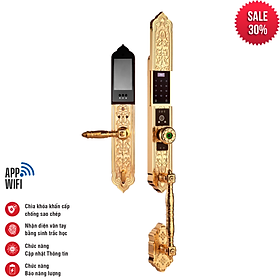 Mua Khóa điện tử Faster FS009F24K BRASS