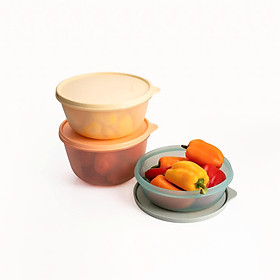 Bộ 3 hộp đựng thực phẩm Tupperware trữ khô và mát Modular Bowl Variety 1.9L 1.4L 950ml