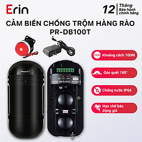 Cảm biến chống trộm hàng rào độc lập PINGRON PR-DB100T - Chống nước IP66, hạn chế báo động giả, khoảng cách 100M