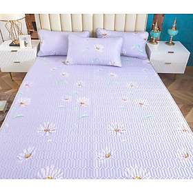 Mua CHIẾU ĐIỀU HÒA CAO CẤP - 100% TỪ THIÊN NHIÊN (M16/TÍM HOA CÚC)