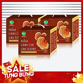 Nấm Linh Chi Lim Xanh 500gr