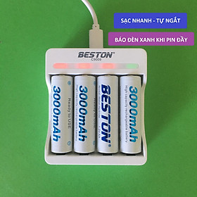 Mua Combo 4 pin sạc AA 3000mAh kèm sạc BESTON C9009 - sạc nhanh tự ngắt - có đèn báo pin đầy - Hàng  nhập khẩu