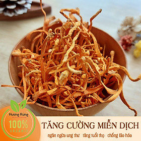 200g Đông trùng hạ thảo tự nhiên nguyên chất