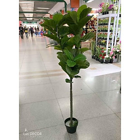 Cây giả - CÂY BÀNG GIẢ TRANG TRÍ SINGAPORE LANDECOR - LC5575