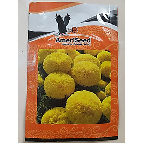 Mua Hạt Giống Vạn Thọ Thái Lùn Vàng Chanh AFM 45 (Gói 1G)