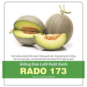 Mua Hạt Giống Dưa Lưới Ruột Xanh Rado 173 Giòn Ngọt 10 Hạt - thịt dày  ngon ngọt  thịt màu xanh lá cây - Rất dễ trồng