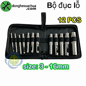 Mua Bộ đục lỗ Đài Loan 12 chi tiết 3-16mm ĐL-316