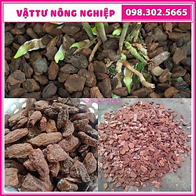Size 3x4cm Vỏ thông mài cạnh đều đẹp dùng trồng lan, trang trí chậu cảnh, sân vườn - Gói 1 kg