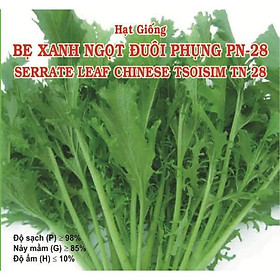 Hạt giống Cải đuôi phụng - 10 g
