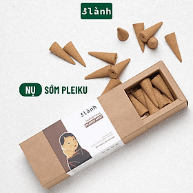 Nụ Thủ Công Sớm Pleiku 3 Lành Hộp 20 Nụ 100 % Tự Nhiên Tặng Kèm Đế Chăm, Không Hóa Chất, Xông Thơm - 4 Hộp Sớm Pleiku