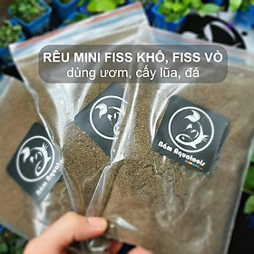 Rêu Khô MiniFiss - Mini Fiss Vò Phơi Khô || Dùng Ươm Trang Trí Cho Bể Bán Cạn, Bể Thuỷ Sinh Cực Đẹp