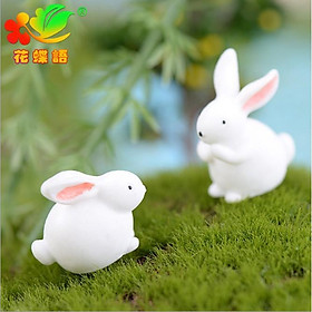 Mua KHO-HN * Combo 05 mô hình thỏ mập trắng mũm mĩm dễ thương trang trí tiểu cảnh  bonsai  DIY