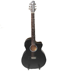 Mua Đàn guitar dây sắt cho người mới tập chơi SV650A