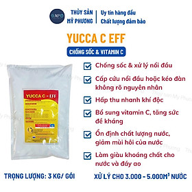 Chống sốc nổi đầu Yucca Vitamin C bột Saponin xử lý khí độc sạch nước nguyên liệu Mexico tôm thẻ cá lươn ếch ốc baba