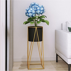 Mua Kệ hoa GOLD RACK ALESSI
