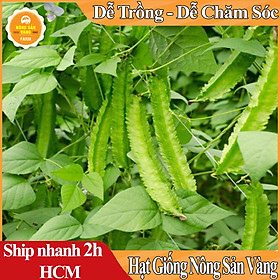 Mua Hạt giống Đậu Khế (Đậu Rồng) Giá Trị Dinh Dưỡng Khá Cao  Chế Biến Thành Nhiều Món Ăn Ngon Bổ Dưỡng (Gói 10 Gram) - Nông Sản Vàng