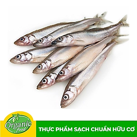 Cá Trứng Đông Lạnh 500g