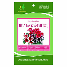 Combo 2 gói Hạt giống hoa Tử la lan Golden Seeds 5 Hạt