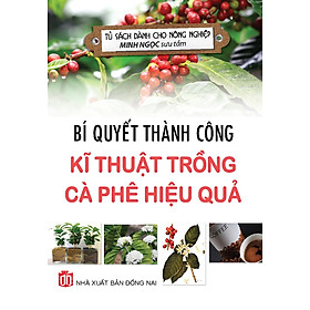 Bí Quyết Thành Công Kĩ Thuật Trồng Cà Phê Hiệu Quả – KV