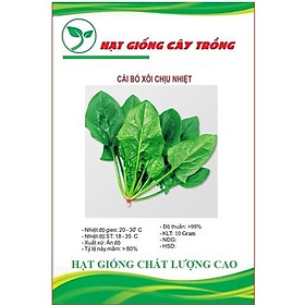 Hạt giống rau cải bó xôi chịu nhiệt F1 - 1 gói 10gram