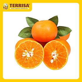 Chỉ Giao HCM Quýt Úc  Set 3 trái  500 g