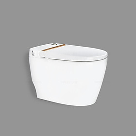Mua Bồn cầu két nước âm có vòi xịt rửa vệ sinh cao cấp Hiwin MT-240 665*390*510mm