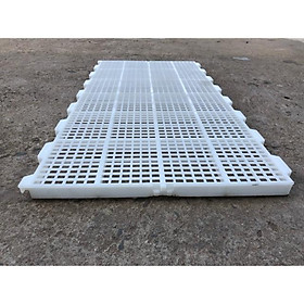 Mua Sàn nhựa gia cầm 0.5x1m