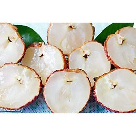 Mua CÂY GIỐNG VẢI KHÔNG HẠT