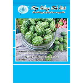 5h Hạt Giống Dưa Chuột Mini - Mexico (Melothria)