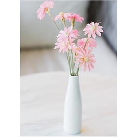 Mua Hoa Khô  Hoa cúc daisy khô vintage trang trí bàn làm việc  phòng ngủ  tiệc cưới  chụp hình  dã ngoại và làm đồ handmade