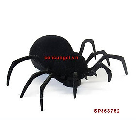 Hộp nhện điều khiển Z2112 , Z2113 - SP353752