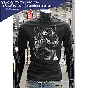 Áo Thun Nam, Có Bigsize Từ S Đến 8XL, Vải Cotton Cao Cấp, Mặc Mịn Thoáng Mát - Thời Trang Waoo, Mẫu ATNN297