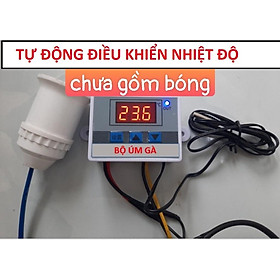 Bộ úm gà con - bộ úm chưa gồm bóng