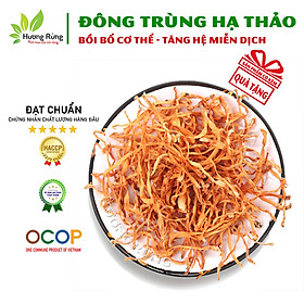 ĐÔNG TRÙNG HẠ THẢO 100g sấy khô nguyên chất